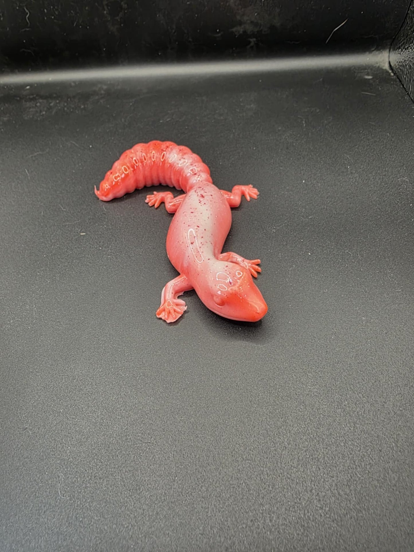 Lizard